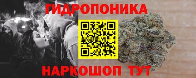 бошки Новодвинск