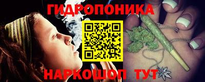 мдпв Новозыбков