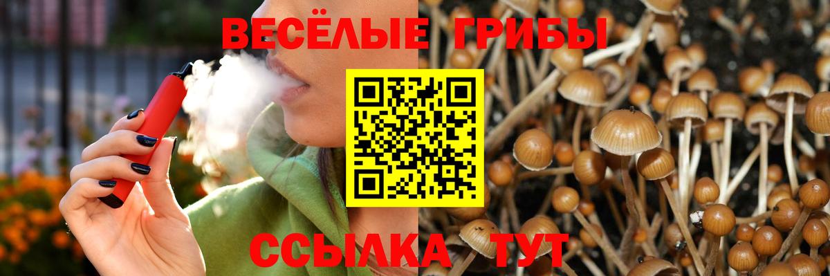 Псилоцибиновые грибы MAGIC MUSHROOMS Саров
